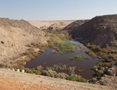 بالصور.. تدفق كميات هائلة من مياه الصرف الصحى إلى النيل بأسوان