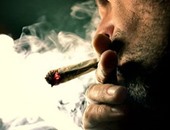 دراسة أمريكية: مدخنو الحشيش أكثر عرضة لإدمان الكحوليات بمعدل 5 أضعاف