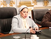 النائبة ليلى أبو إسماعيل: "زهقنا من تصريحات الحكومة الوردية"