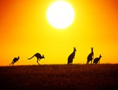 أستراليا تدرس لغات السكان الأصليين لتلاميذ المدارس لحمايتها من الانقراض