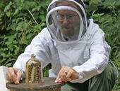 من الأساطير عسل النحل دموع الإله.. هكذا تؤكد الإندبندنت