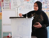 "انتخابات الإسكندرية": الإقبال 3%.. ولم نتلق شكاوى من اللجان