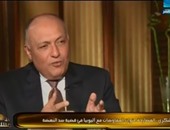 وزير الخارجية: مصر دولة مستقله لا تتبع  أحدا فى مواقفها ومبادئها ثابتة