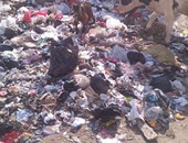 أهالى شطا لمحافظ دمياط: القمامة المتراكمة أمام مستشفى الطلبة والمدارس تهدد حياة أبنائنا