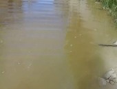صحافة المواطن..مياه الأمطار تُغرِق شوارع ومنازل "أبو تلات" بالإسكندرية
