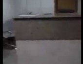 صحافة المواطن: بالفيديو..مستشفى نبروة المركزى بدون أطباء وممرضات