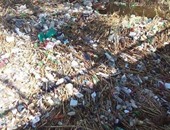 صحافة المواطن.. بالصور.. القمامة تملأ قرية صندفا فى بنى مزار بالمنيا