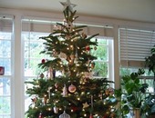 بمناسبة الكريسماس .. اعرف حكاية الشجرة أصلها وثنى وتحولت لأكليل المسيح