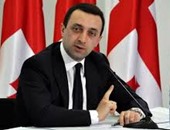 رئيس وزراء جورجيا يتهم زيلينسكى بدعم الاحتجاجات فى تبليسى