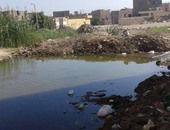 "صحافة المواطن": بالصور.. القمامة ومياه الصرف الصحى تحاصر مساكن درنكة بأسيوط