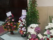 بالصور..الورود تملأ طرقات ديوان عام محافظة الغربية لاستقبال المحافظ الجديد 