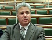 "عضو بدعم مصر": حضور الملك سلمان للبرلمان تدل على قوة المجلس