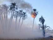 الحماية المدنية تخمد حريقا اندلع بزراعات نخيل فى إدفو