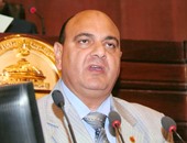 نائب عن تحذيرات السفارات: بعض الدول الغربية تمارس "حرب نفسية" ضد مصر