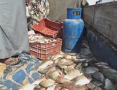 إعدام 10 طن أسماك فاسدة بعد ضبطها على مركب بالسويس