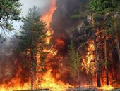 السيطرة على حريق بمخلفات الأشجار بكسارة البيئة  بالشرقية