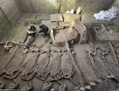 بالصور..  اكتشاف مقبرة للخيول بالصين يرجع تاريخها لـ 2500 سنة