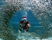 بالصور .. بابا نويل تحت الماء أغرب احتفالات الكريسماس فى كوريا الجنوبية