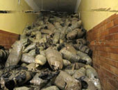 العثور على 400 نبتة قنب فى شقة فى أسكتلندا