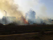 حريق بمزرعة الصرف الصحى فى سوهاج والنيران تلتهم فدانا من الأشجار الجافة 