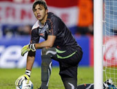 الشرطة البرازيلية تشتبه فى وجود عمل تخريبى وراء غزو النمل لفراش موسليرا