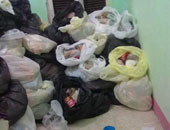جمعية "أمة واحدة" بالإسكندرية توزع 1000 شنطة غذائية لفقراء العامرية