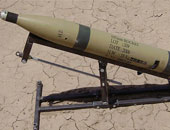 ألمانيا تدعم السودان لتسجيل الأسلحة بإقليم دار فور