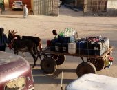 بالصور.. معاناة أهالى قرية الصعايدة فى أبو حمص للحصول على مياه الشرب