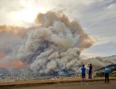 بالصور.. ارتفاع حصيلة ضحايا حرائق الغابات فى جزيرة "ماديرا" البرتغالية لـ 3 قتلى