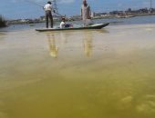 بالصور.. استغاثة من تسرب مادة سامة تهدد الثروة السمكية ببحيرة مريوط