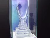 بالفيديو.. ريال مدريد يحتفل بالسوبر الأوروبى بنسخة جليدية
