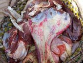 الزراعة:تشديد الرقابة على أسواق بيع اللحوم وإعدام100طن غير صالحة بالجيزة‏