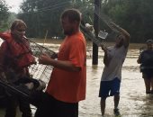 بالصور.. عدد من سكان لويزيانا يرفضون المغادرة لإنقاذ الحيوانات من الغرق