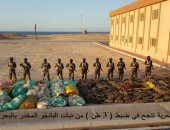 القوات البحرية تضبط 3 أطنان من نبات البانجو على سواحل البحر الأحمر