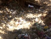 أهالى قرية سندبيس بمحافظة القليوبية يشكون تراكم القمامة