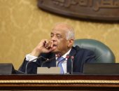 على عبد العال: الشعب عصى على التشكيك فى مشروعاته.. وإرادتنا مستقلة