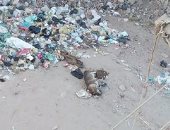 انتشار القمامة بشارع الساحة الشعبية فى مركز أبنوب بأسيوط