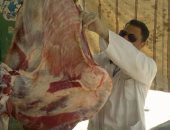 إعدام كميات من اللحوم الفاسدة بحملة بيطرية بمنية النصر