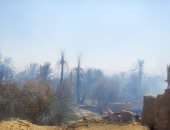 الدفاع المدنى يسيطر على حريق فى مزرعة نخيل بالوادى الجديد دون خسائر