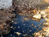 بالصور.. المياه الجوفية تهدد منازل قرية شطب البلد بأسوان