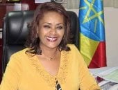 مصادر أثيوبية: أديس أبابا توقع عقود بيع الكهرباء لتنزانيا خلال الأسبوع الجارى