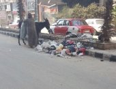 الأهالى يشكون من تراكم القمامة بشارع طلبة عويضة بالزقازيق 