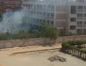 بالفيديو والصور.. تصاعد أدخنة بعد حرق مخلفات الأشجار بفناء مدرسة بالعاشر