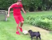 بالفيديو .. مسعود أوزيل يلعب كرة القدم مع "كلبه"