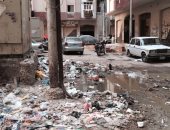بالصور..القمامة والصرف الصحي تغمر أبراج الصيانة بغرب مدينة كفر الشيخ