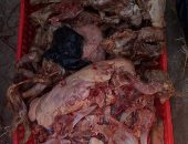 ضبط 724 كيلو كبدة ولحوم غير صالحة للاستهلاك الأدمى بسوهاج  