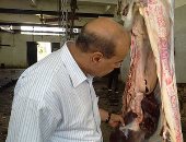 حملات على الأسواق بالدقهلية للتفتيش على اللحوم والسلع قبل استقبال العيد