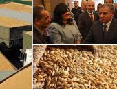 وزير التموين : نقل القمح من الشون المكشوفة الي الصوامع خلال أيام لحمايتها من الأمطار 