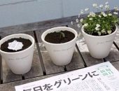 صحيفة يابانية تتحول إلى تربة زراعية بعد الانتهاء من تصفحها