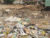 رغم مبادرة حلوة يا بلدى بأسيوط.. سكان المحافظة يستغيثون من الغرق فى أكوام القمامة
